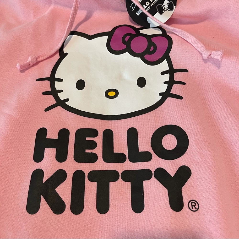 Dolls Kill X Hello Kitty 💗 Hoodie Sweatshirt XL - Picture 3 of 8